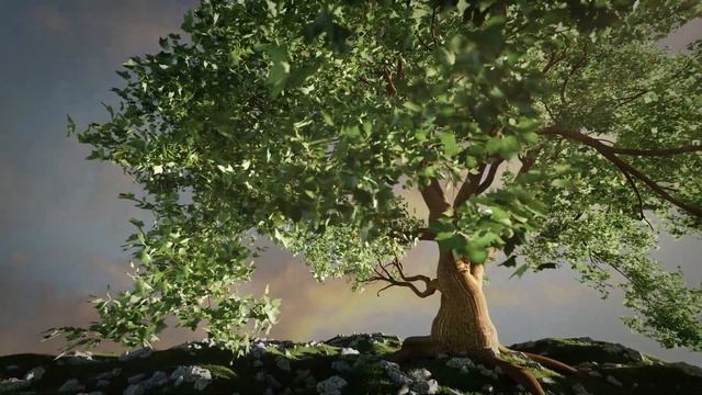 Single tree with curved branches, Blender смотреть онлайн