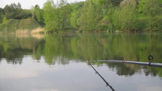 Зі мною на рибалці 01,05,19 Ловлю коропа