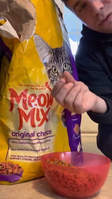 Difference Between Wet And Dry Food