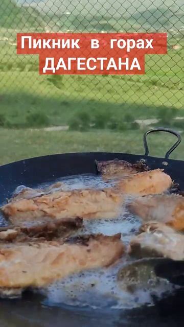 ПИКНИК В ГОРАХ ДАГЕСТАНА #travel #туризм #путешествия #природа #курах #куруш #ахты #кабир #хив #топ