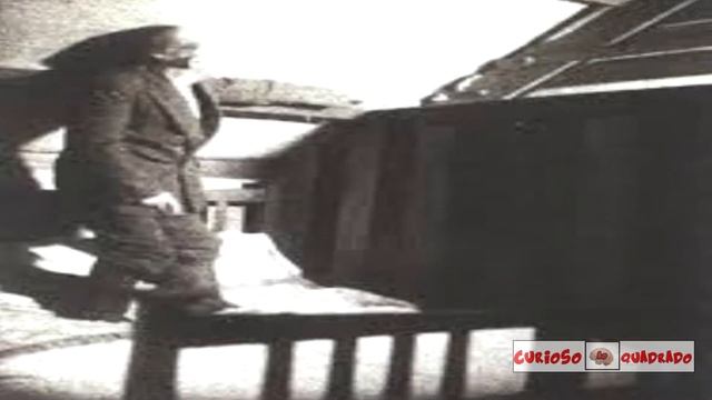 O curioso caso de Gef o mangusto falante e Hoover a foca imitadora смотреть онлайн