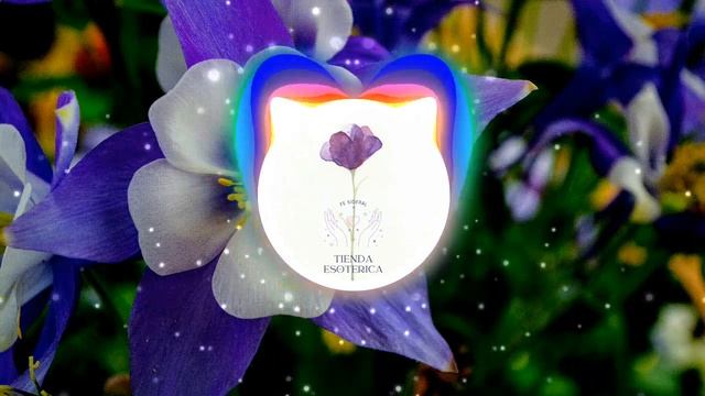 🌸 ris Polaris angel aura quartz city. 🎧 📻 💿 No Copyright FREE MUSIC 🌸 смотреть онлайн