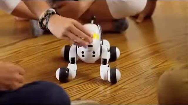Робот-собачка Zoomer (Зумер) смотреть онлайн