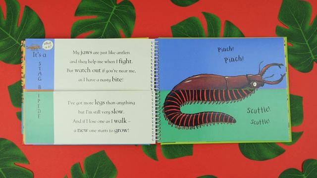 Axel Scheffler's Flip Flap Minibeasts смотреть онлайн
