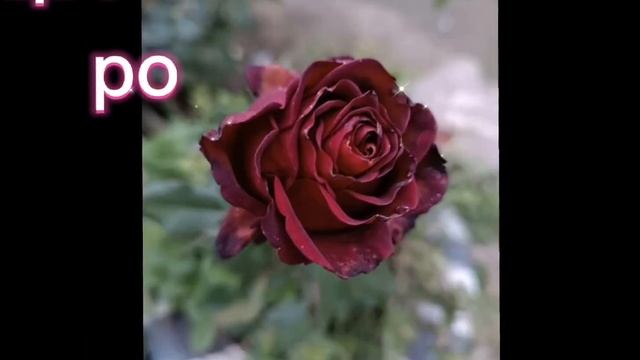 босс если бы был:, зайди в описание 🙏 смотреть онлайн