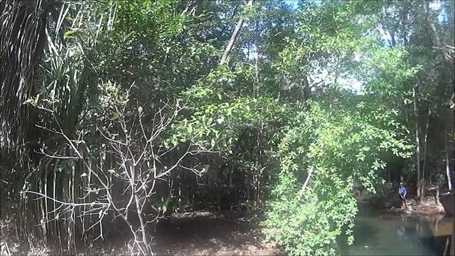 Perch and Tarpon Darwin//day 1 смотреть онлайн