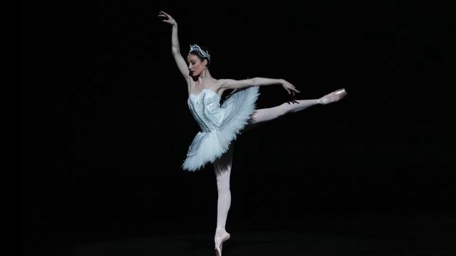 Waltz to Hip Hop: A Social History of Western Dance (history elective) - Promo Video смотреть онлайн