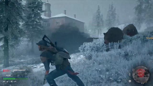 3 Bears (and a Wolf) - DAYS GONE смотреть онлайн