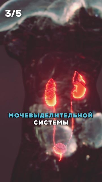 ОБЯЗАТЕЛЬНО проходите чекап! #здоровье #анализы #косметология смотреть онлайн