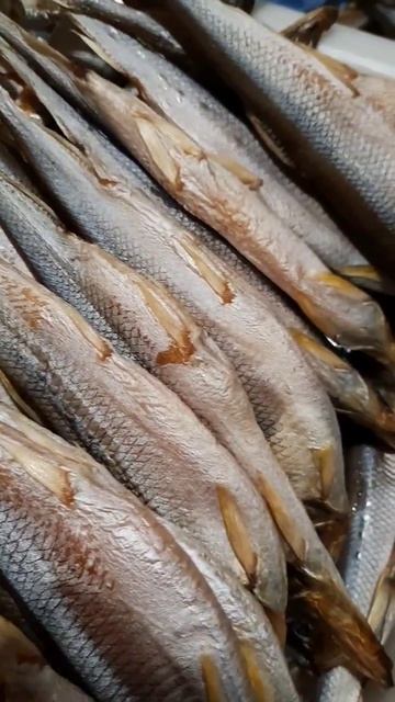 ВЯЛЕНАЯ КОРЮШКА С ИКРОЙ🔥САХАЛИНСКАЯ 🔥УСУШКА 65% #2023 #рыба #новосибирск #fish #рыбалка #россия