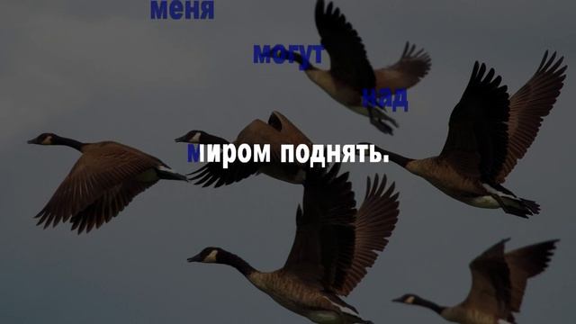У дикого гуся могучие крылья (КАРАОКЕ) смотреть онлайн