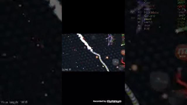 Червячки захади слизарио