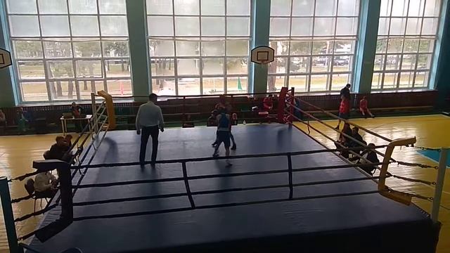 акуленок туту смотреть онлайн