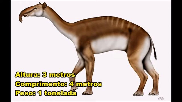 Macrauchenia смотреть онлайн