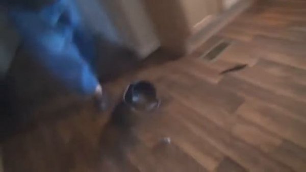 ЗЛОЙ ДЕД ОСТАЛСЯ БЕЗ ДЕНЕГ