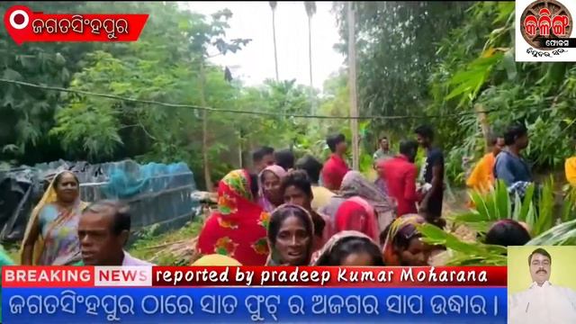 VIRAL NEWS ANACONDA.....#python #at Jagatsinghpur смотреть онлайн