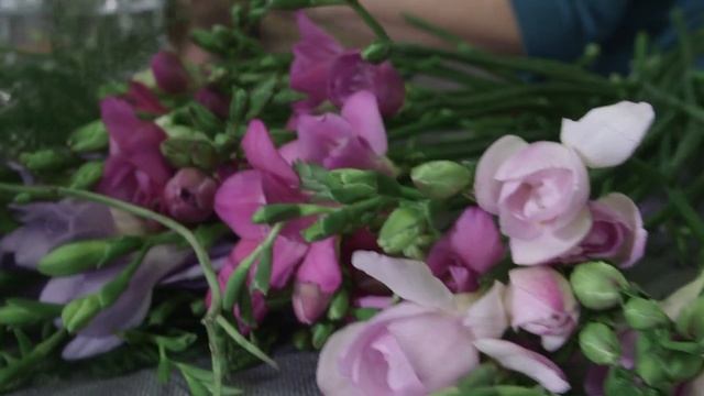 #FreestyleFreesia by Audrey Gatineau | Flower Factor смотреть онлайн