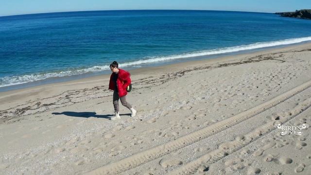 Veleka beach смотреть онлайн