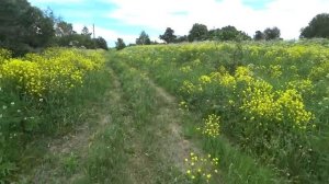 ЖИВЁТ ОДИН АВТОНОМНО В ЗАБРОШЕННОЙ ДЕРЕВНЕ. Старый Шуструй, Пензенская область.