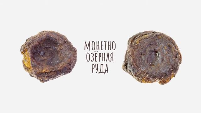 Виды лимонита. Коротко о главном.