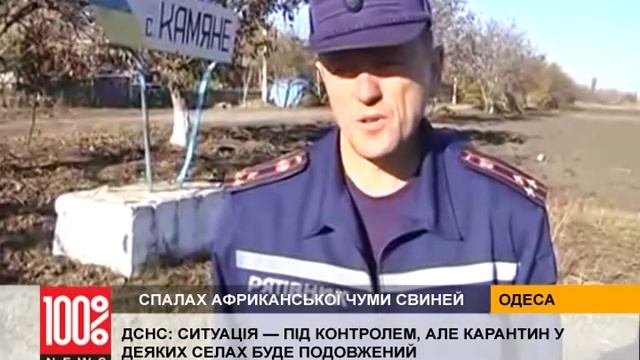 Ситуація зі спалохом африканcької чуми свиней в Одеській області стабілізувалася смотреть онлайн