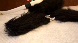 Обзор на новый фурсьют оборотня!