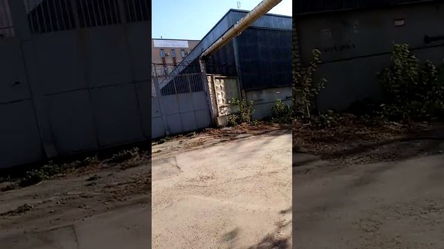 Челябинск, Советский район, дохлая крыса... и много мусора смотреть онлайн