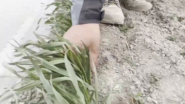 В Синьцзяне задумались о том, чтобы сделать интересным выращивание хлопка смотреть онлайн