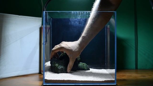 #52 Fish Tank Setup For Betta