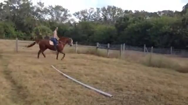 Jumping English #4 смотреть онлайн
