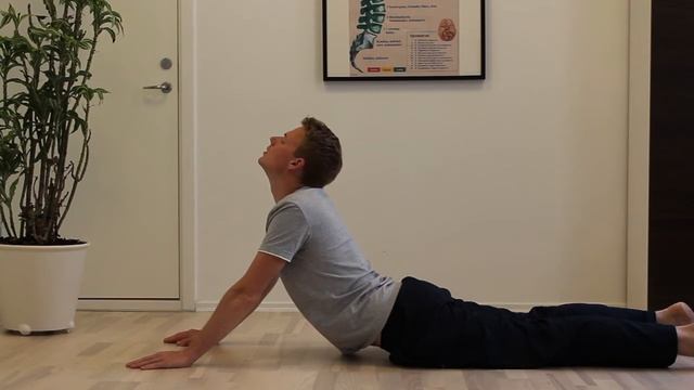 STRESS Træning смотреть онлайн