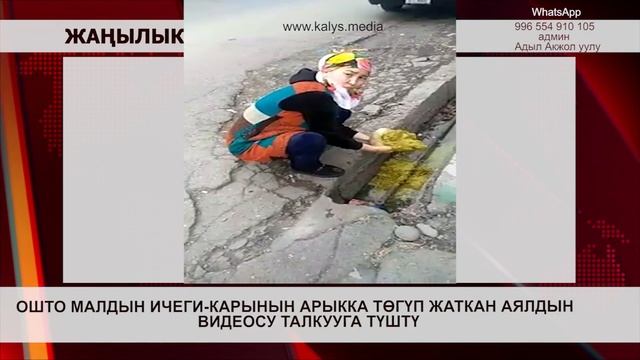 ЖУРНАЛИСТКЕ МАЛДЫН ИЧЕГИ-КАРЫНЫН ЧАЧКАН АЯЛДЫН ВИДЕОСУ смотреть онлайн