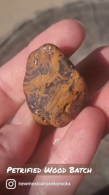 Rock Tumbling - Petrified Wood Batch #rocks #rocktumbling #petrifiedwood #thefinders #rockhound смотреть онлайн