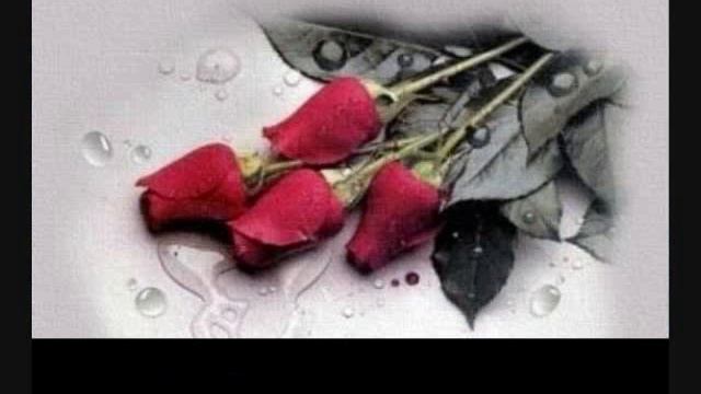 ramzi and ash your love qo sere смотреть онлайн