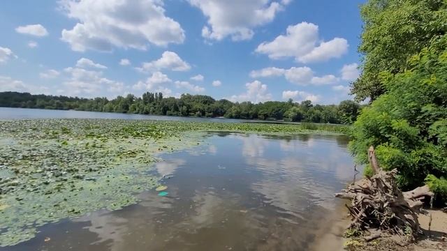 ЛУЧШИЙ ПЛЯЖ КИЕВА/РУСАНОВКА/ЛИМУЗИН НА ВОДЕ/АЛЛЕЯ МИРОВЫХ ДЕРЕВЬЕВ/ФОНТАНЫ ЭТО ФАНТАСТИКА смотреть онлайн