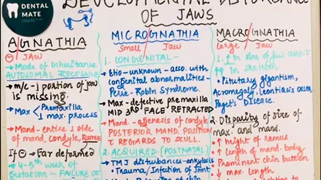 Developmental Disturbances Of Jaw | Agnathia | Micrognathia | Macrognathia | Dr Paridhi Agrawal