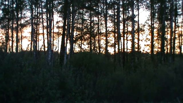 соловей 15 05 14 смотреть онлайн