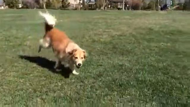 Rita in the sun смотреть онлайн