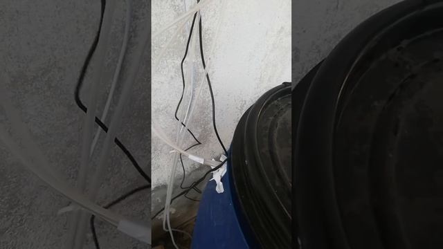 Pemasangan Agro-IoT Smart Fertigation System Outdoor смотреть онлайн