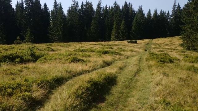 Осмолода-Бистириця. День Третій. 28.07.29 р.