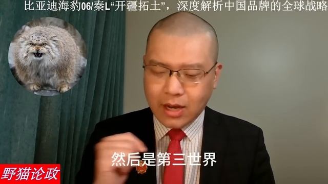 野猫论政 1744：比亚迪发布海豹06/秦L，深度分析中国自主品牌的“全球战略”