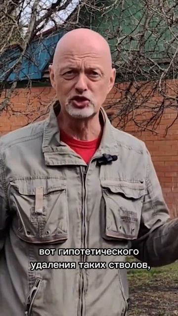 Формирование груши. Часть 2. #bonsai #бонсай #ниваки #сад #андрейдарусенков #плодовыедеревья смотреть онлайн