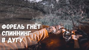 Форелевая рыбалка в Карелии. Нашли форелевое эльдорадо. Трофейная форель гнет спиннинг в дугу!