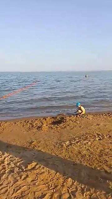 это Яровое алтайский край озера