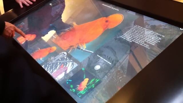 Démonstration EVA Multitouch 2 смотреть онлайн