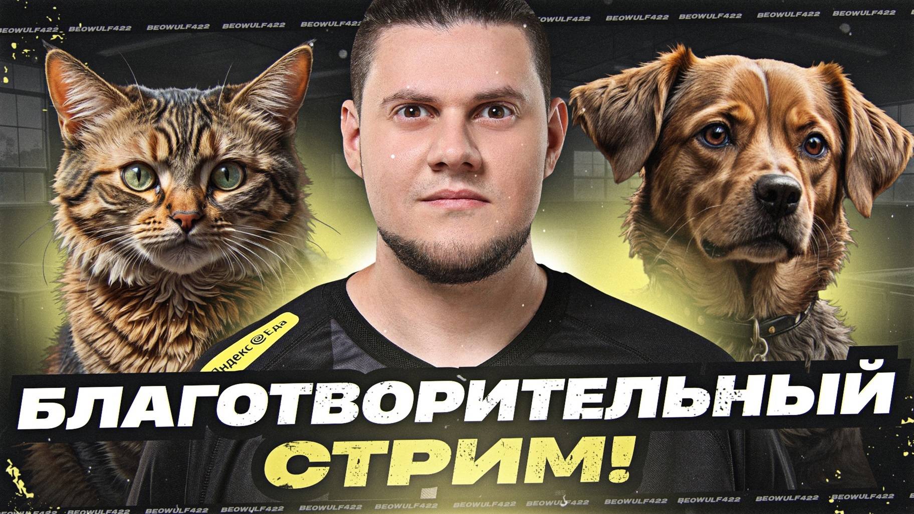 БЛАГОТВОРИТЕЛЬНЫЙ СТРИМ — ТАНКИ НА ЗАКАЗ! смотреть онлайн