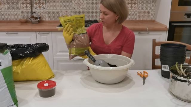Лилейники - красота, которая спасет спасет жизнь! смотреть онлайн