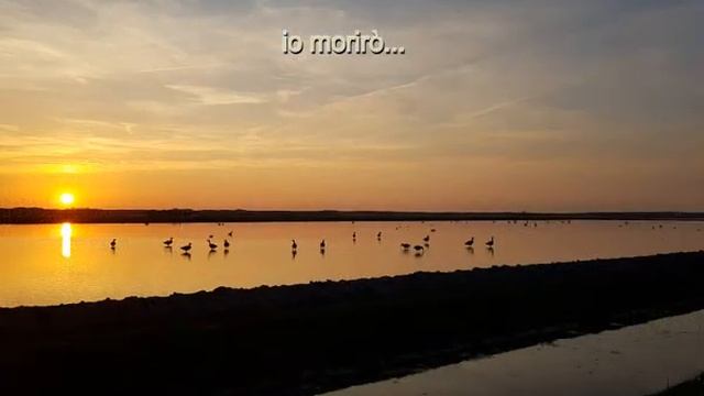 SE PIETÀ DI ME NON SENTI... ALICE VAN NOPPEN смотреть онлайн