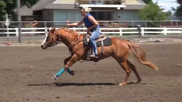 Tara Lawrence and CP Piper Walla Walla 6-17-17 смотреть онлайн