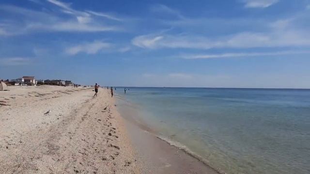 ВЛОГ: ЖЕЛЕЗНЫЙ ПОРТ. ДЕЛЬФИН на пляже смотреть онлайн